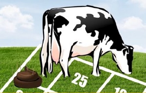 Logo loto bouses Loto bouses