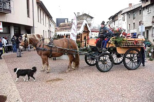 Cliquez pour agrandir la photo Calèche